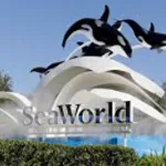 SeaWorld Transportation